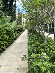 Daintree Residence (D21), Condominium #450805081